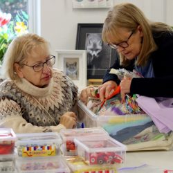 opt_ quilt-workshop-17